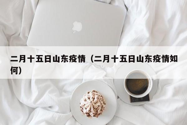 二月十五日山东疫情(二月十五日山东疫情如何)