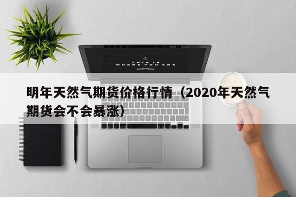 明年天然气期货价格行情(2020年天然气期货会不会暴涨)