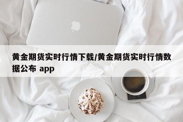 黄金期货实时行情下载/黄金期货实时行情数据公布 app